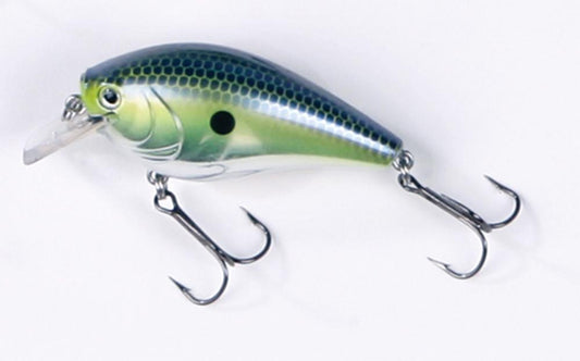 crankbait