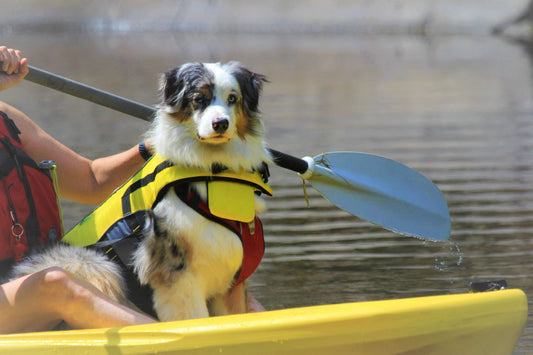 kayaking with your dog