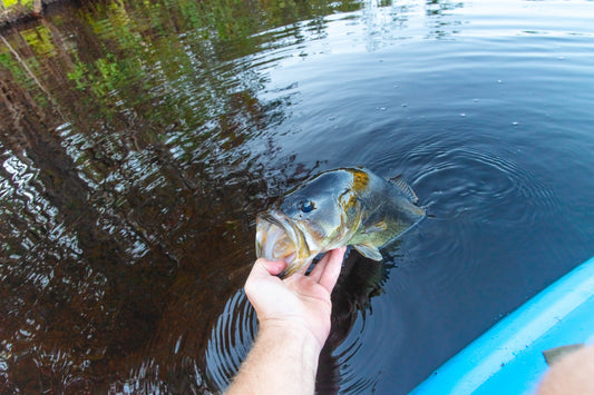 kayak fishing, largemouth bass - Brooklyn Kayak Company
