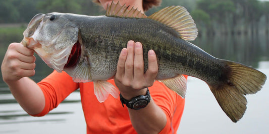 fishing tournament, bass fish - Brooklyn Kayak Company