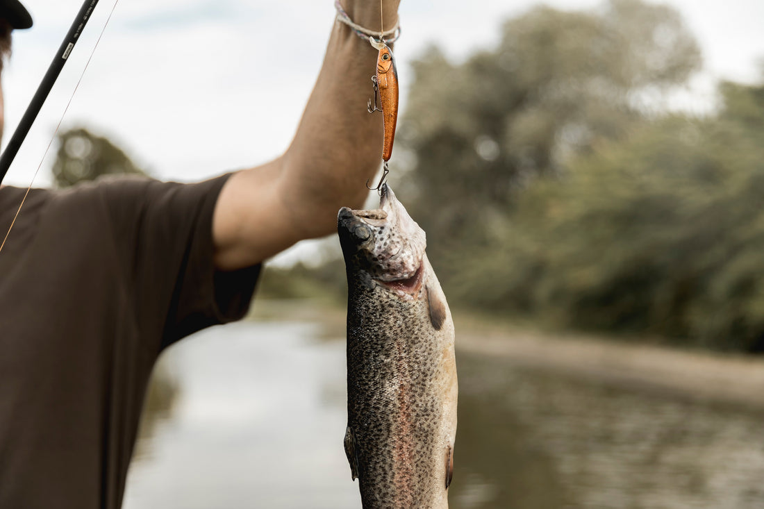 bass fishing tips - Brooklyn Kayak Company