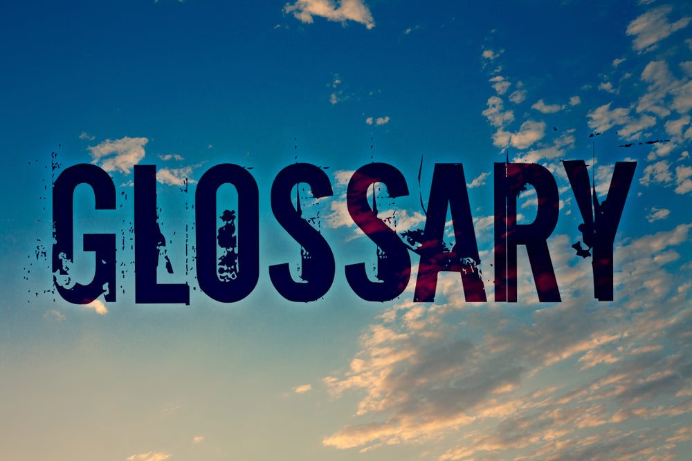glossary image featuring list of kayaking terms